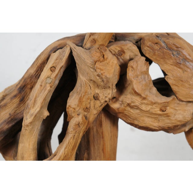 Vintage Abstract Modern Teak Driftwood Horse Head Bust Sculpture Statue For Sale - Image 9 of 10