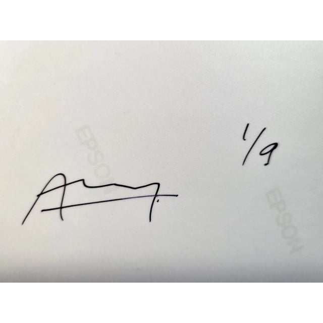 Apesteguy, The Ghost Ship Francis Apesteguy, 2000s, Photographic Paper For Sale - Image 5 of 6