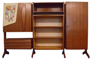 Vintage Wall Unit from A. Ferri, 1950s
