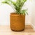 1970s XL Stoneware Thumbprint Planter by David Cressey & Robert Maxwell for Earthgender For Sale - Image 13 of 14