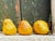 Photography John and Debora Scanland Three Pears Photograph, Signed For Sale - Image 7 of 12
