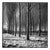 Paul Cooklin, Wickham Skeith, Edition of 50 For Sale