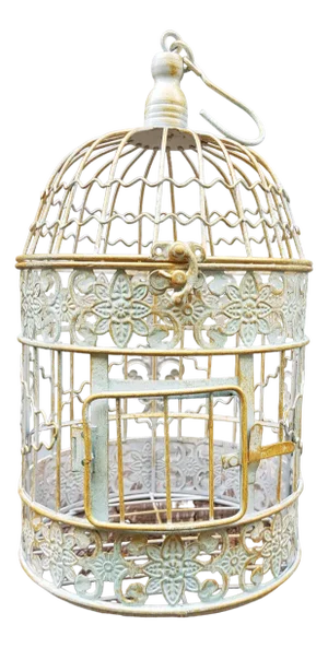Large French Metal Bird Cage