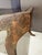 Cast Bronze Sabre Leg Bench W. Wood Seat For Sale In Sacramento - Image 6 of 8