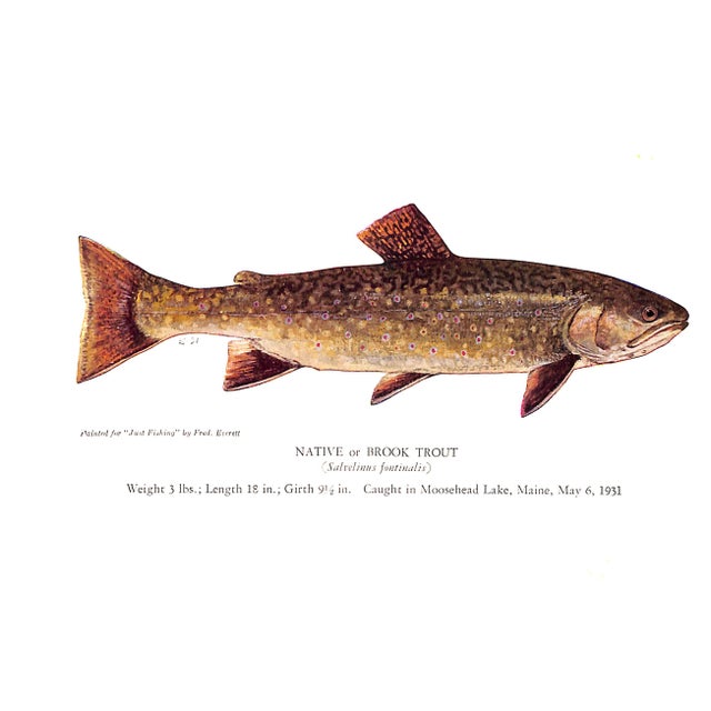 "Just Fishing" 1946 Bergman, Ray For Sale - Image 12 of 12