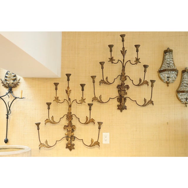 1920s A Pair of Seven Arm Italiante Sconces For Sale - Image 9 of 9