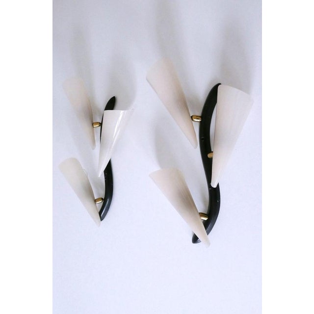 Mid-Century Modern Sconces or Wall Lamps, Germany, 1950s, Set of 2 For Sale - Image 9 of 18
