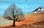 Impressionist Barn in Autumn - Small Country Landscape With Tree by M. Lemieux For Sale - Image 3 of 8