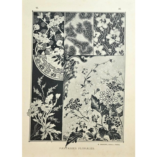 This is a PAIR of French Art Nouveau botanical lithograph design plates that date to c1900. They feature fantasy flowers...