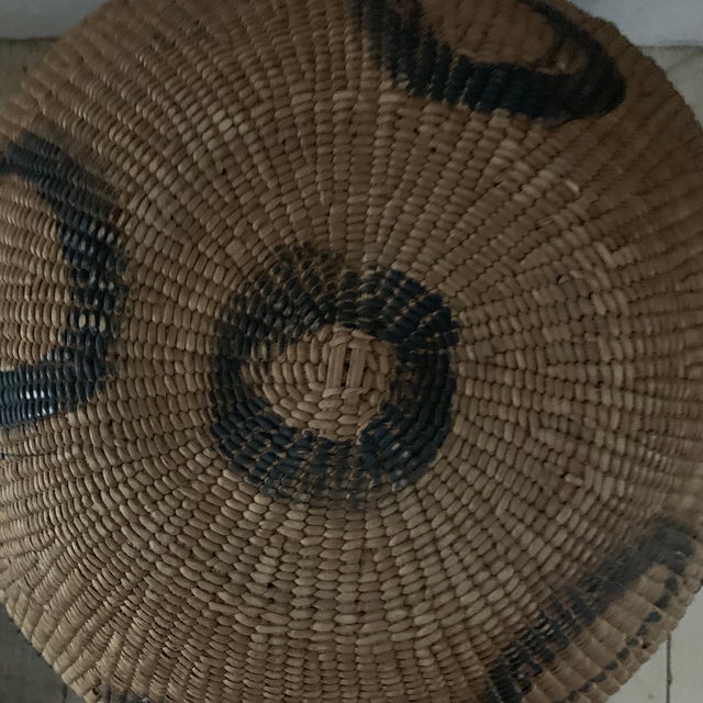 1960s Yanomami Indian Tribal Burden Basket Chairish