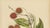 Berthe Hoola van Nooten, Rambutan, 1880, Chromolithograph For Sale - Image 5 of 9