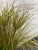 Mid-Century Modern Marmite Faux Grass Arrangement, Vintage For Sale - Image 9 of 12