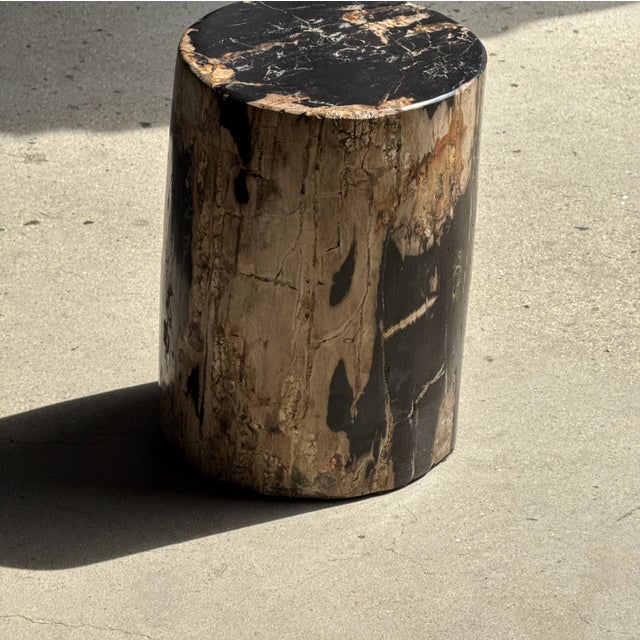Side Table in Black Petrified Wood with Beige Sides, 1980s For Sale - Image 16 of 18