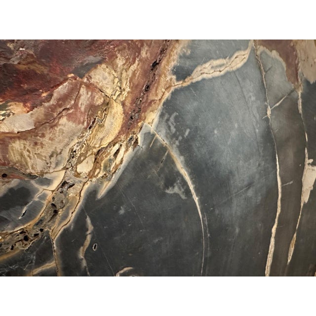 Andrianna Shamaris High Quality Petrified Wood Sculpture or Coffee Table For Sale - Image 14 of 18