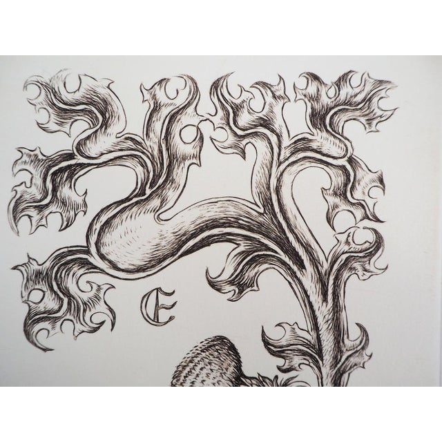 Cécile Reims, Bloom, 20th Century, Etching For Sale - Image 4 of 7