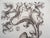 Cécile Reims, Bloom, 20th Century, Etching For Sale - Image 4 of 7