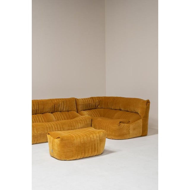 1970s Aralia Modular Sofa by Michel Ducaroy for Ligne Roset, France, 1970s, Set of 3 For Sale - Image 5 of 18