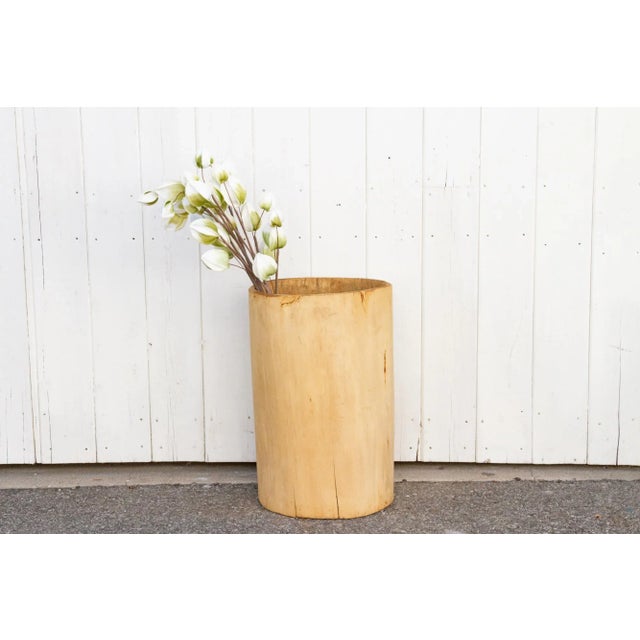 Tall Bleached Wood Asian Planter For Sale - Image 9 of 10