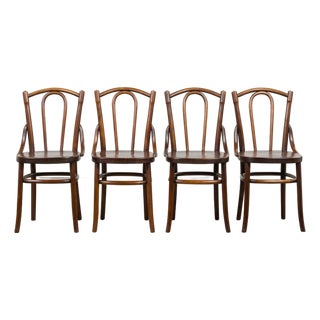Set of 4 French Bentwood Bistro Dining Chairs, Provence, Mid-20th Century For Sale