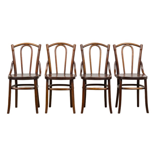 Set of 4 French Bentwood Bistro Dining Chairs, Provence, Mid-20th Century For Sale