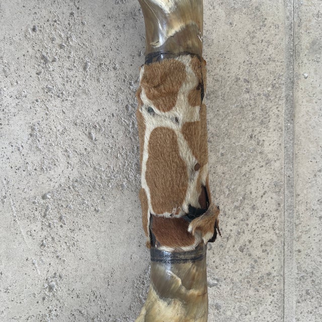 Vintage Bull Horns With Wood & Skin For Sale In Miami - Image 6 of 8