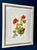 Original watercolor of a vibrant red geranium. Framed and matted, this painting style is characterized by loose, vibrant...