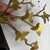 This listing is for a vintage, pair of butterfly wall hangings. The branches are heavy, with metal etched butterlfies....