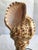 Wood 1940s Triton Conch Shell Lamp On Coconut Base For Sale - Image 7 of 10
