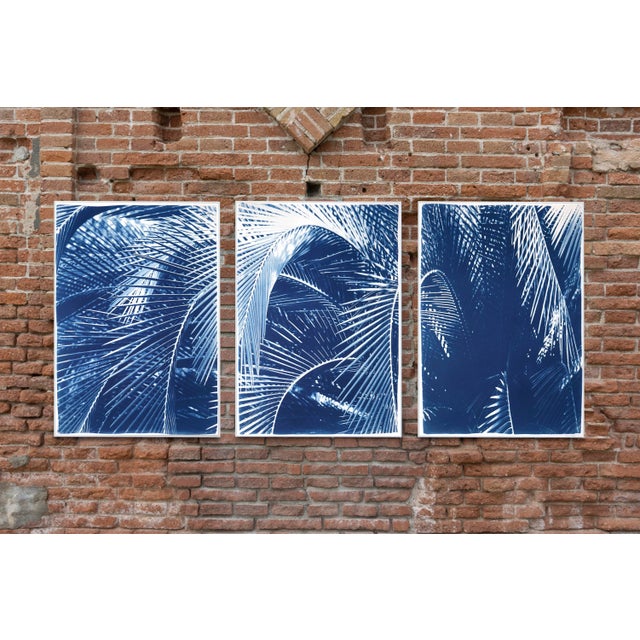 This is an exclusive handprinted limited edition cyanotype of a beautiful palm trees tropical garden. Details: + Title:...