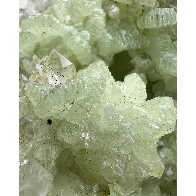 A quiet natural Prehnite and Quartz specimen selected for its pale botanical green color, hollow-like mineral formation,...