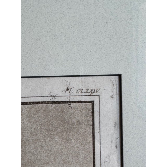 Early 19th Century French Engraving of the Temple of Karnak, Luxor For Sale In Los Angeles - Image 6 of 9