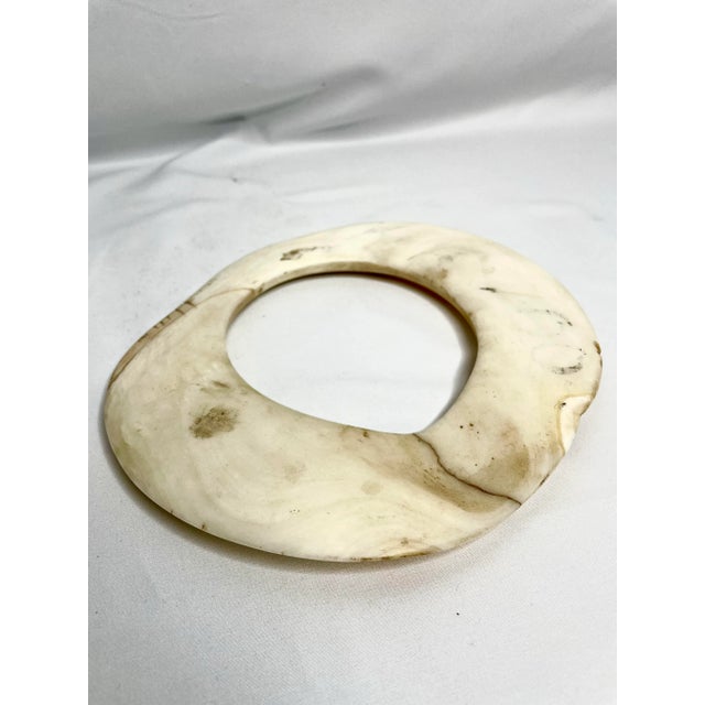 Early 18th Century Antique Mounted New Guinea Abelam Currency Shell Rings- a Set of 3 For Sale - Image 5 of 12