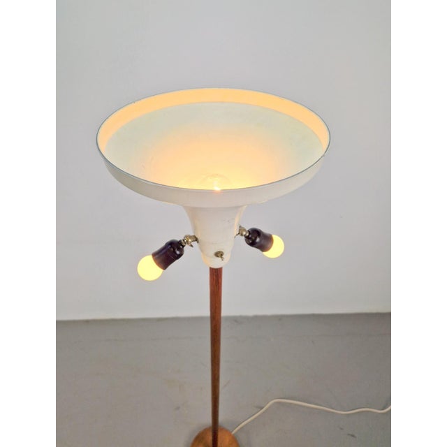 Brown Mid-Century Scandinavian Teak Floor Lamp, 1960s For Sale - Image 8 of 11