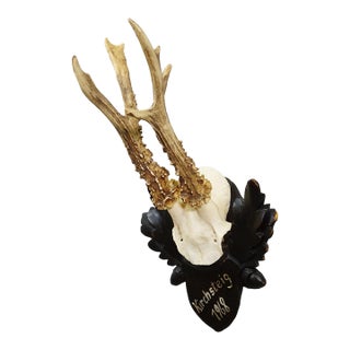 Vintage Black Forest Red Deer Trophy on Carved Plaque, Germany 1968 For Sale