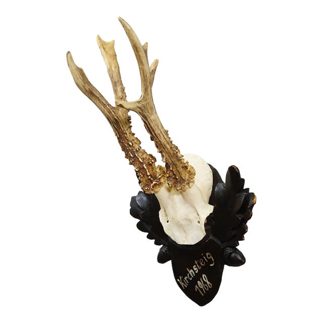 Vintage Black Forest Red Deer Trophy on Carved Plaque, Germany 1968 For Sale