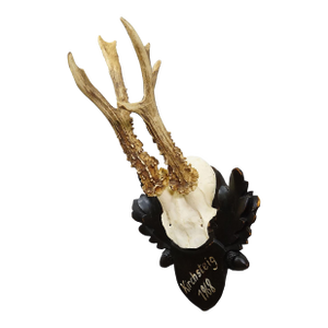 Vintage Black Forest Red Deer Trophy on Carved Plaque, Germany 1968