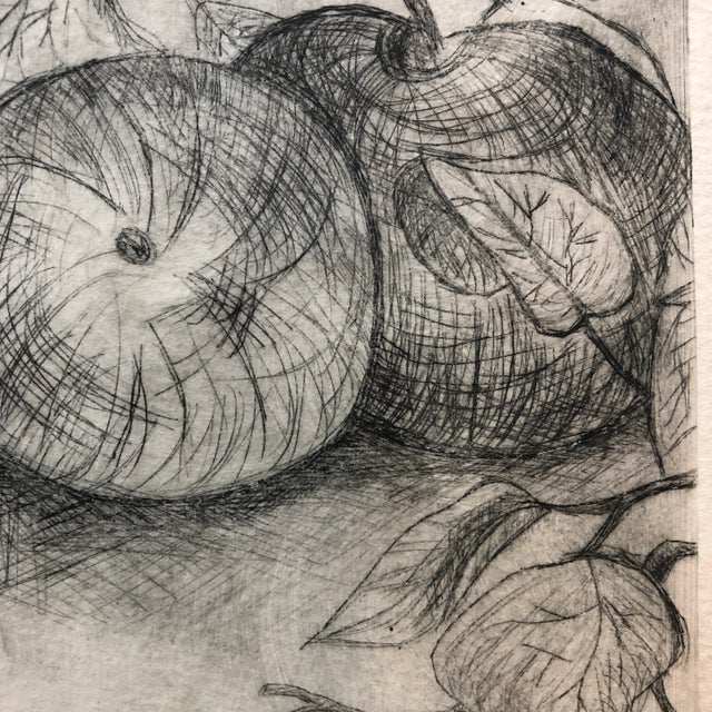 Original Vintage Small Etching Apples & Vines Framed For Sale - Image 4 of 6