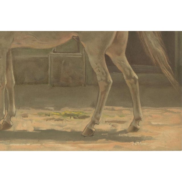 After Otto Eerelman, Persian Horse, 1898, Lithograph on Paper For Sale - Image 6 of 9