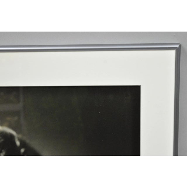 Robert Taylor George Hurrell 1930s Photograph 48x36 Gelatin Silver Print 23/50 For Sale - Image 10 of 15
