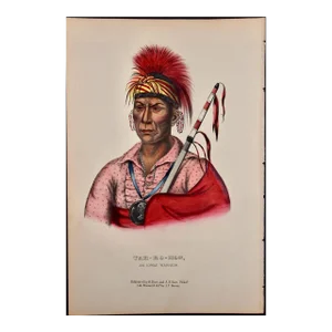Tah-Ro-Hon, an Ioway Warrior: Original Hand-Colored McKenney & Hall Lithograph, 1848