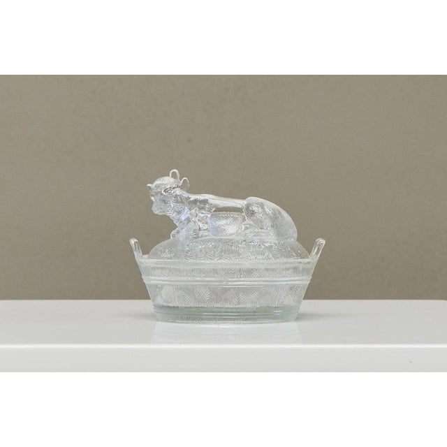 Wonderful Lidded Box with Cow in Glass Mid 20th Century A beautiful and unusual lidded box in glass with a cow on top....