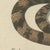 Beige Bertuch, Rattlesnake with Its Rattle, 1805, Print For Sale - Image 8 of 12