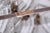 Metal Mid-Century Chandelier in Chrome and Glass from Kamenický Šenov, Czech, 1960s For Sale - Image 7 of 11