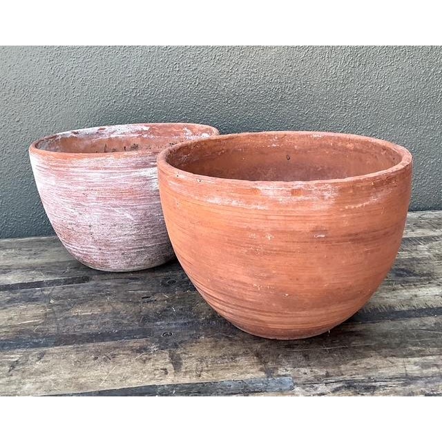 Vintage Washed Terracotta Planter Bowls - Set of 2 For Sale In West Palm - Image 6 of 12