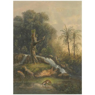 Wild Landscape with Waterfall and Jungle Life on Java, 1872, Lithograph on Paper For Sale