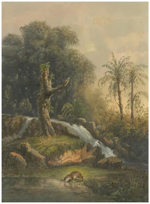 Wild Landscape with Waterfall and Jungle Life on Java, 1872, Lithograph on Paper