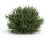 Enhance your home with a touch of nature using this Spring Grass Half Orb Set. Designed for effortless decorating, this...