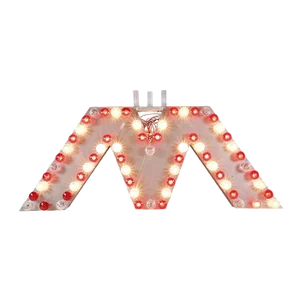 Circus Light Sign