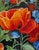 Textile Zoriana Pavlyshyn Original Oil Painting “Poppies” – Renaissance Still Life For Sale - Image 7 of 11