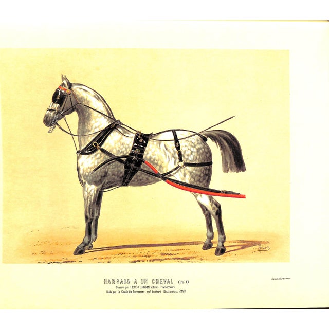 White "La Sellerie Francaise Et Etrangere" 1986 Lene For Sale - Image 8 of 8